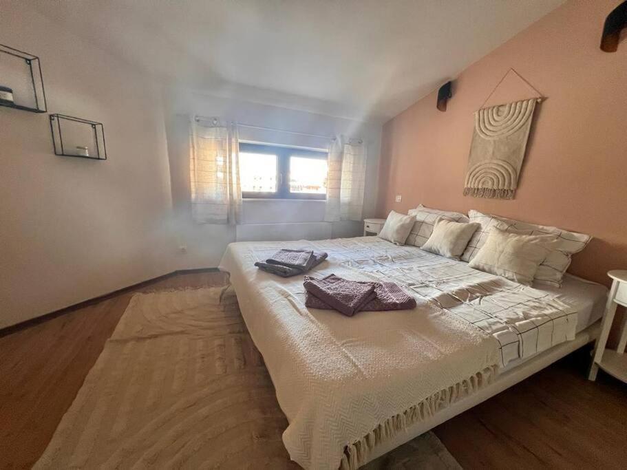 Cozy 1 Bedroom Apartment Next To The Gondola Bansko Buitenkant foto