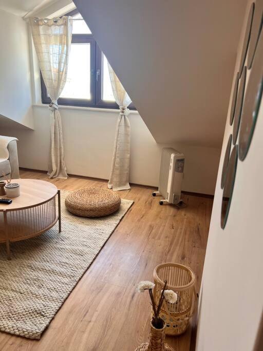 Cozy 1 Bedroom Apartment Next To The Gondola Bansko Buitenkant foto